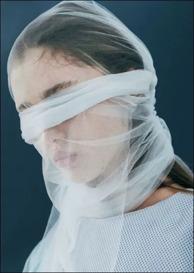 Quel est le nom du voile qui couvre les cheveux, les oreilles et le cou, mais qui laisse le visage dégagé ?