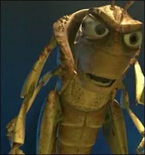 Comment se nomme cette sauterelle, que l'on voit dans '1001 pattes' ?