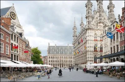 Quel nom portent les habitants de la Flandre, une des deux régions belges ?