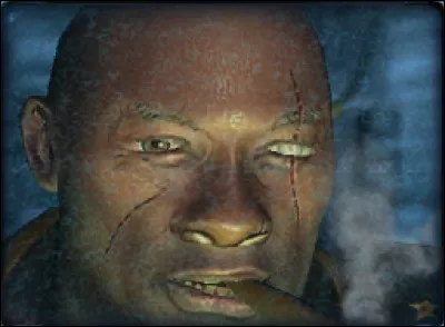 Quel est le nom du chef de l'AEN qui est sur cette image ?