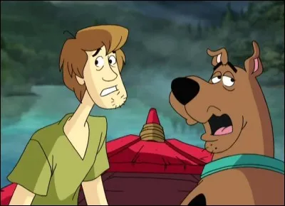 De quelle couleur est le pull de Vera ?