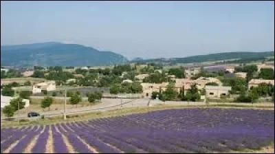 Un petit bouquet de lavande, ça vous dit ? Pour cela, je vous emmène à Ferrassières. Village Drômois connu pour la culture de la lavande, sur le Plateau d'Albion, il se situe en région ...