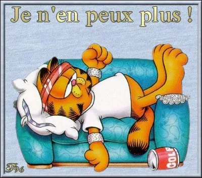 Ce quiz vous a peut-être donné des...