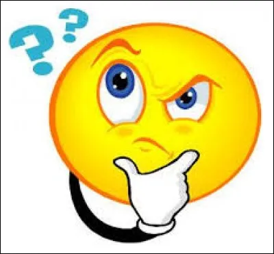 Dans la langue française, comment s'appellent nos petits questionnaires ?