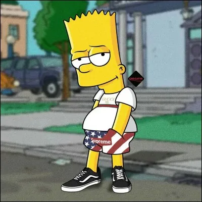 Retrouvez la marque des chaussures de Bart.