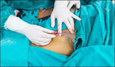 Parmi ces célébrités, il y a une intruse : laquelle ?