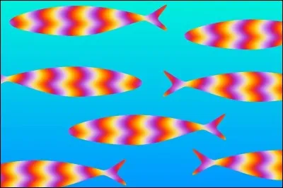 Qu'est-ce que c'est, en latin ?