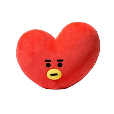 À qui correspond cette peluche (coussin) ?