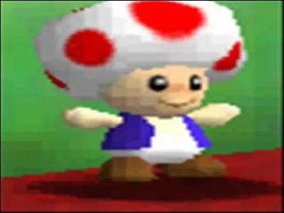 Comment ce champignon s'appelle-t-il ?