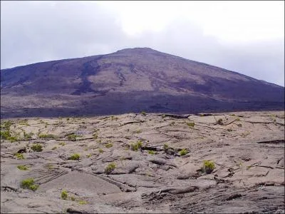 Qu'est-ce que c'est ?