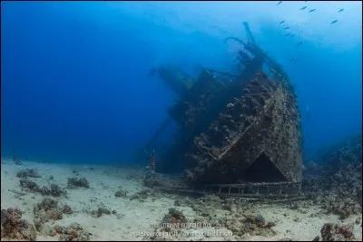 Lequel de ces pays a des côtes sur la mer Rouge ?
