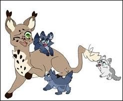 Quiz Litt�rature, po�sie