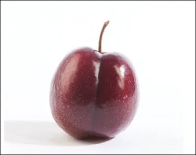 Quelle est cette prune ?