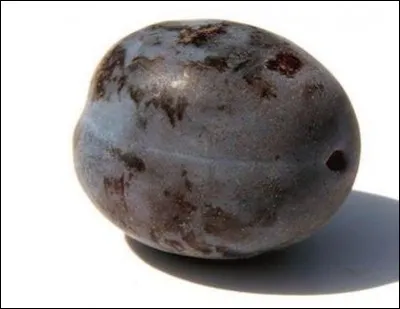 Quelle est cette prune ?