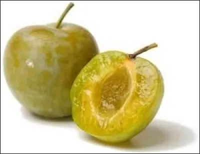 Quelle est cette prune ?