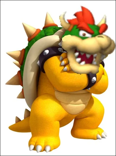 Comment s'appelle cette grosse tortue ?