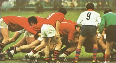 Au rugby, quelle équipe est appelée "les pumas" ?