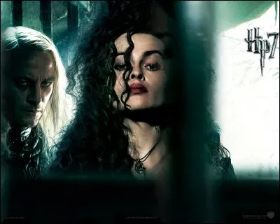 Dans "Harry Potter et les Reliques de la Mort", à la fin, qui tue Bellatrix Lestrange ?