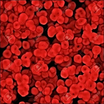 Que transportent les globules rouges dans le corps ?