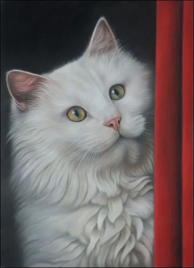 Quelle est cette race de chats ?