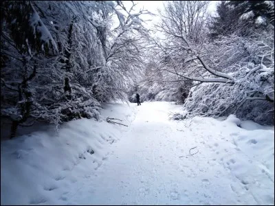 A quel poète doit-on "Le Dormeur du Val" ?