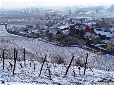 Dans l'univers des Pokémon, quelle créature possède un chant mélodieux qui a la particularité de faire s'endormir tant les humains que les Pokémon ?