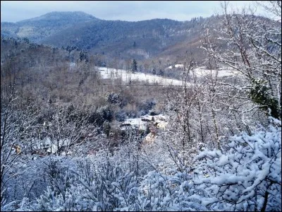En espagnol, comment conjugue-t-on le verbe "dormir" à la troisième personne du pluriel du présent de l'indicatif ?