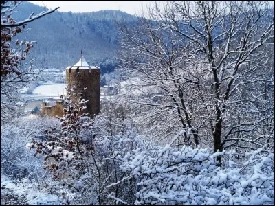 Selon l'expression, comme quel animal a-t-on dormi lorsqu'on a passé une très bonne nuit au sommeil très profond ?