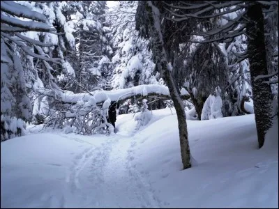 Si je vous raconte une histoire à dormir debout, que cela signifie-t-il ?