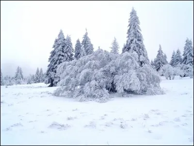 En langue cajun (le français parlé en Louisiane), qu'est-ce qu'un "fais dodo" ?