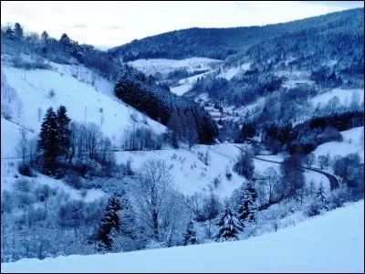 Quelle(s) glande(s) sécrète(nt) la mélatonine, plus connue sous le nom d'"hormone du sommeil" ?