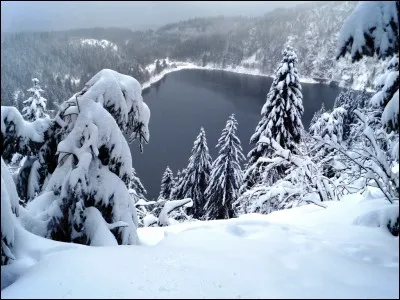 Quel trouble correspond au fait de ressentir subitement une extrême fatigue et de s'endormir involontairement à n'importe quel endroit ?