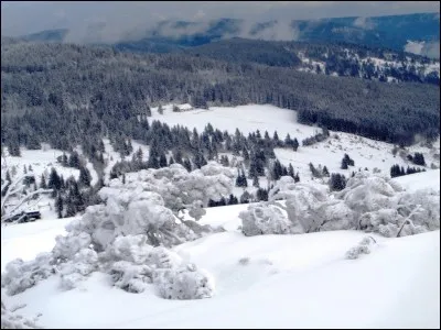 Quelle ville française est surnommée "la Belle Endormie" ?