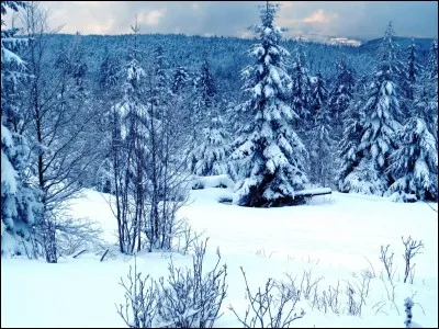 Parmi ces volcans français, lequel peut être considéré comme endormi ?