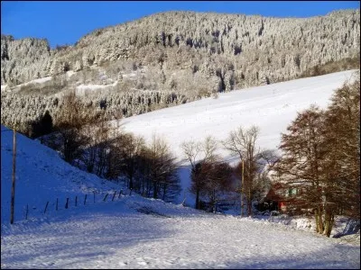 Quel groupe chante ces paroles : "J'ai besoin de trouver quelqu'un. J'Veux pas dormir..." ?