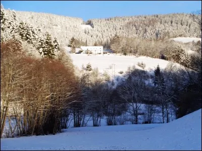Dans "La Belle au Bois Dormant", durant combien d'années la princesse a-t-elle dormi ?