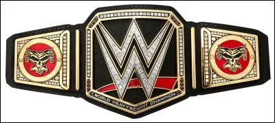 Qui est le champion actuel de la WWE(Smackdown) ?