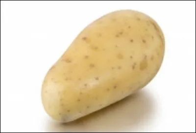 Quelle est cette pomme de terre ?