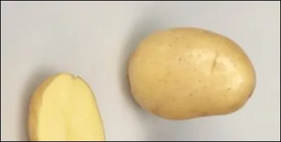 Quelle est cette pomme de terre ?