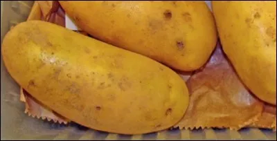 Quelle est cette pomme de terre ?
