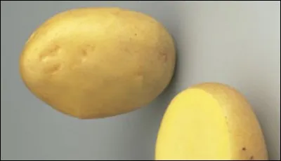 Quelle est cette pomme de terre ?