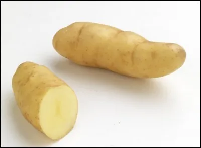 Quelle est cette pomme de terre ?