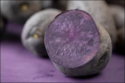 Quelle est cette pomme de terre ?