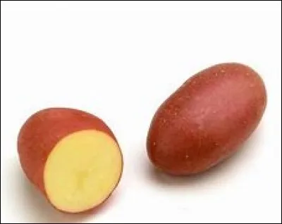 Quelle est cette pomme de terre ?