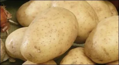 Quelle est cette pomme de terre ?