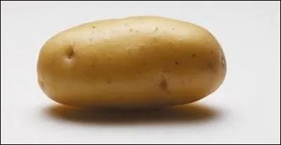 Quelle est cette pomme de terre ?