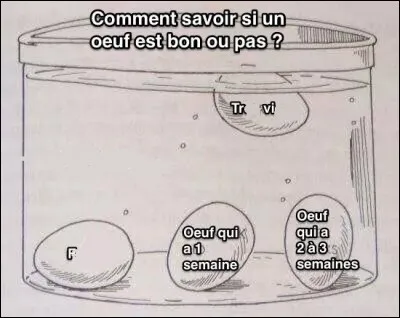Comment savoir si un uf est frais ? Le plonger dans un bol d'eau. S'il coule à plat au fond du bol, il est frais.