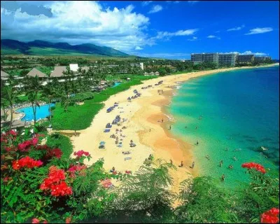 ''Tout nu et tout bronzé'' - Avec quel chanteur, terminons-nous ce quiz ? (Lien pour clip)