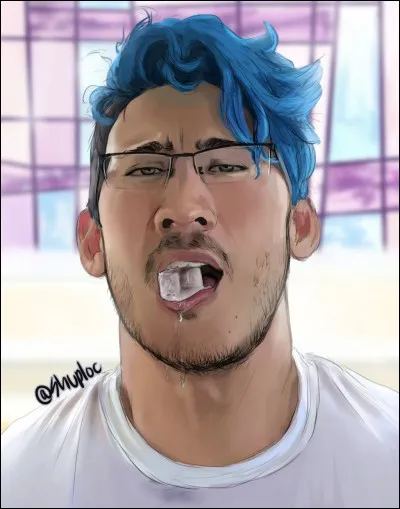 Markiplier est un youtubeur américain qui fait au moins une vidéo tous les deux jours. Quel est son domaine de vidéo ?
