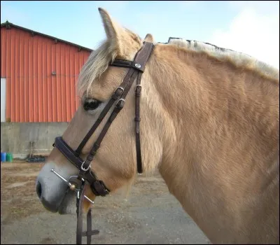 Comment appelle-t-on cet &eacute;quipement ?